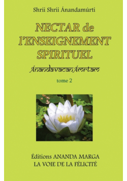 Nectar de l'Enseignement spirituel tome 2