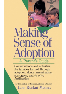 Making Sense of Adoption