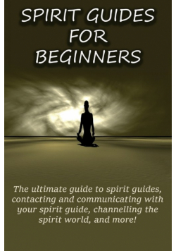 Spirit Guides for Beginners