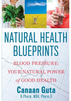 Natural Health Blueprints