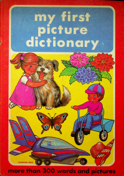 My first picture dictionary