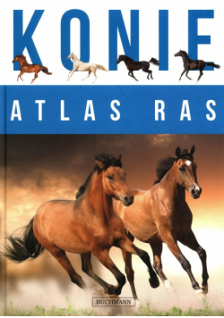 Konie Atlas ras