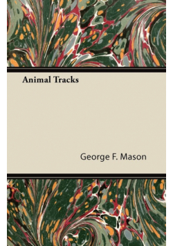 Animal Tracks