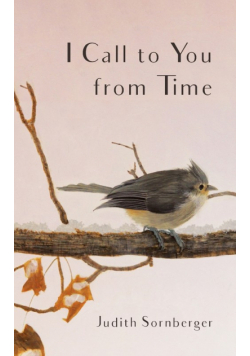 I Call to You from Time