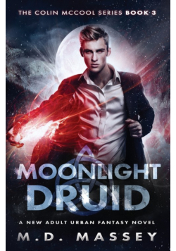 Moonlight Druid