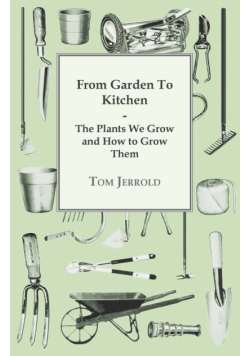 Our Wartime Kitchen Garden