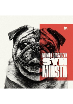 Syn miasta