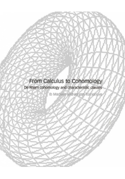 From Calculus to Cohomology
