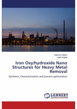 Iron Oxy/hydroxide Nano Structures for Heavy Metal Removal