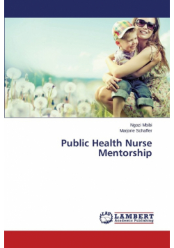 Public Health Nurse Mentorship