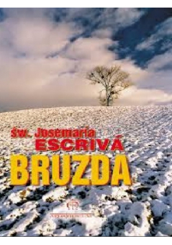 Bruzda miniatura