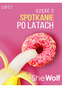 Spotkanie po latach 2 – opowiadanie erotyczne