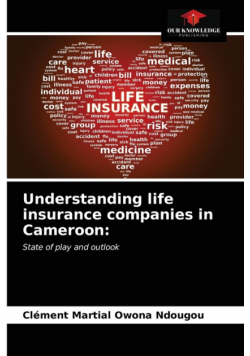 Understanding life insurance companies in Cameroon