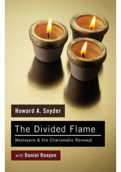 The Divided Flame