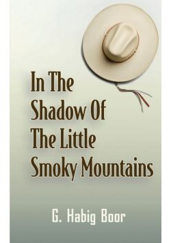 In the Shadow of the Little Smoky Mountains