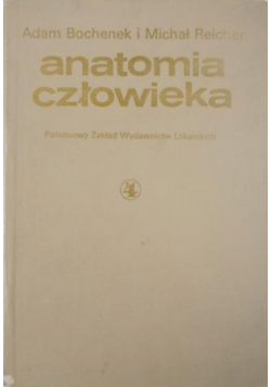 Anatomia człowieka