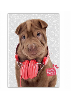 Pamiętnik błyszczący Studio Pets PEJ-3660 PASO