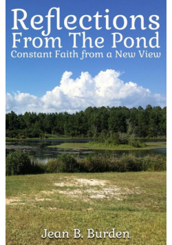 Reflections from the Pond