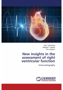 New insights in the assessment of right ventricular function