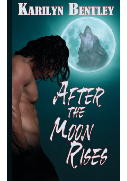 After the Moon Rises