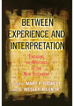 Between Experience and Interpretation