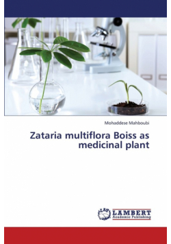 Zataria Multiflora Boiss as Medicinal Plant