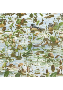 Karnet kwadrat z kopertą Synchronicity Wood Ducks