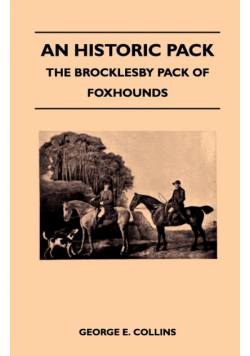 An Historic Pack - The Brocklesby Pack Of Foxhounds