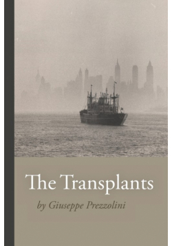 The Transplants