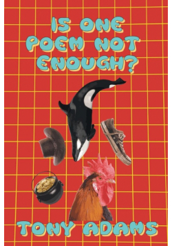 Is One Poem Not Enough ?