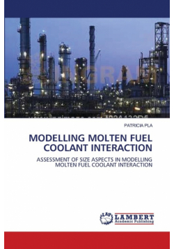 Modelling Molten Fuel Coolant Interaction