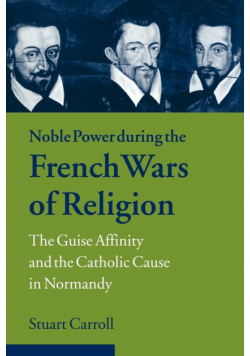 Noble Power During the French Wars of Religion