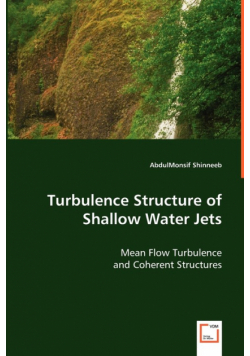 Turbulence Structure of Shallow Water Jets
