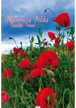 Kalendarz 2023 A3 Malownicza Polska AVANTI