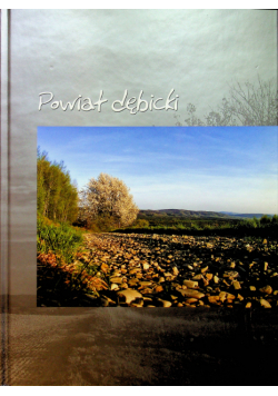 Powiat Dębicki