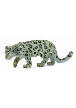 Leopard śnieżny