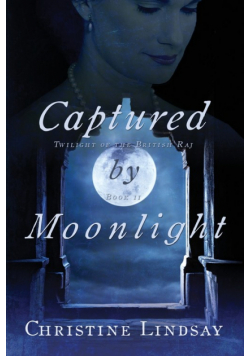 Captured by Moonlight