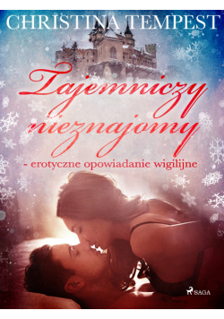 LUST. Tajemniczy nieznajomy - erotyczne opowiadanie wigilijne
