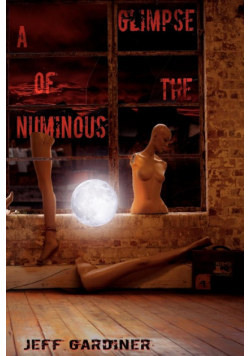 A Glimpse of the Numinous (Paperback)