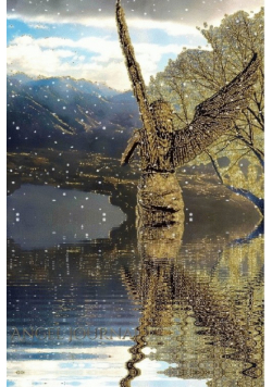 New Zealand Angelic Angel   pound   reflection   creative blank journal