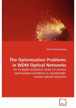 The Optimization Problems in WDM Optical Networks