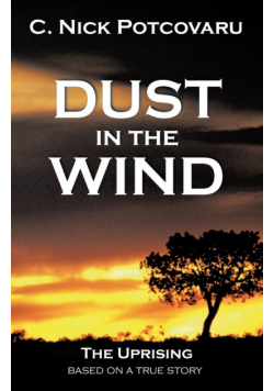 Dust in the Wind