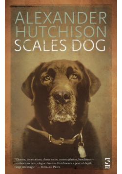 Scales Dog