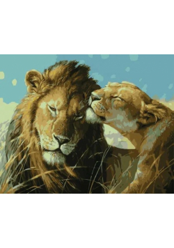 Malowanie po numerach - Lwy na safari 40x50cm