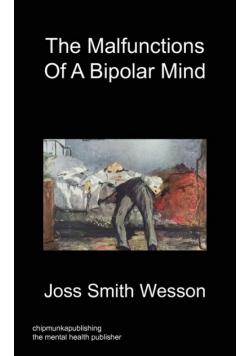 The Malfunctions of a Bipolar Mind