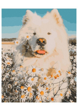 Malowanie po numerach - Rumianek na nosie 40x50cm