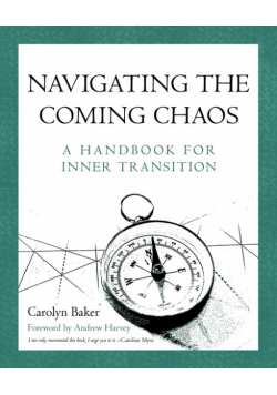 Navigating The Coming Chaos