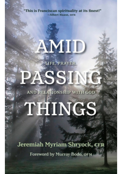 Amid Passing Things