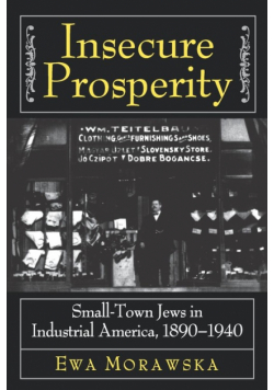 Insecure Prosperity