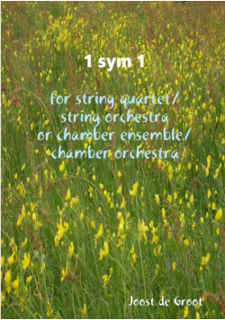 1 sym 1 for string quartet/string orchestra or chamber ensemble/chamber orchestra